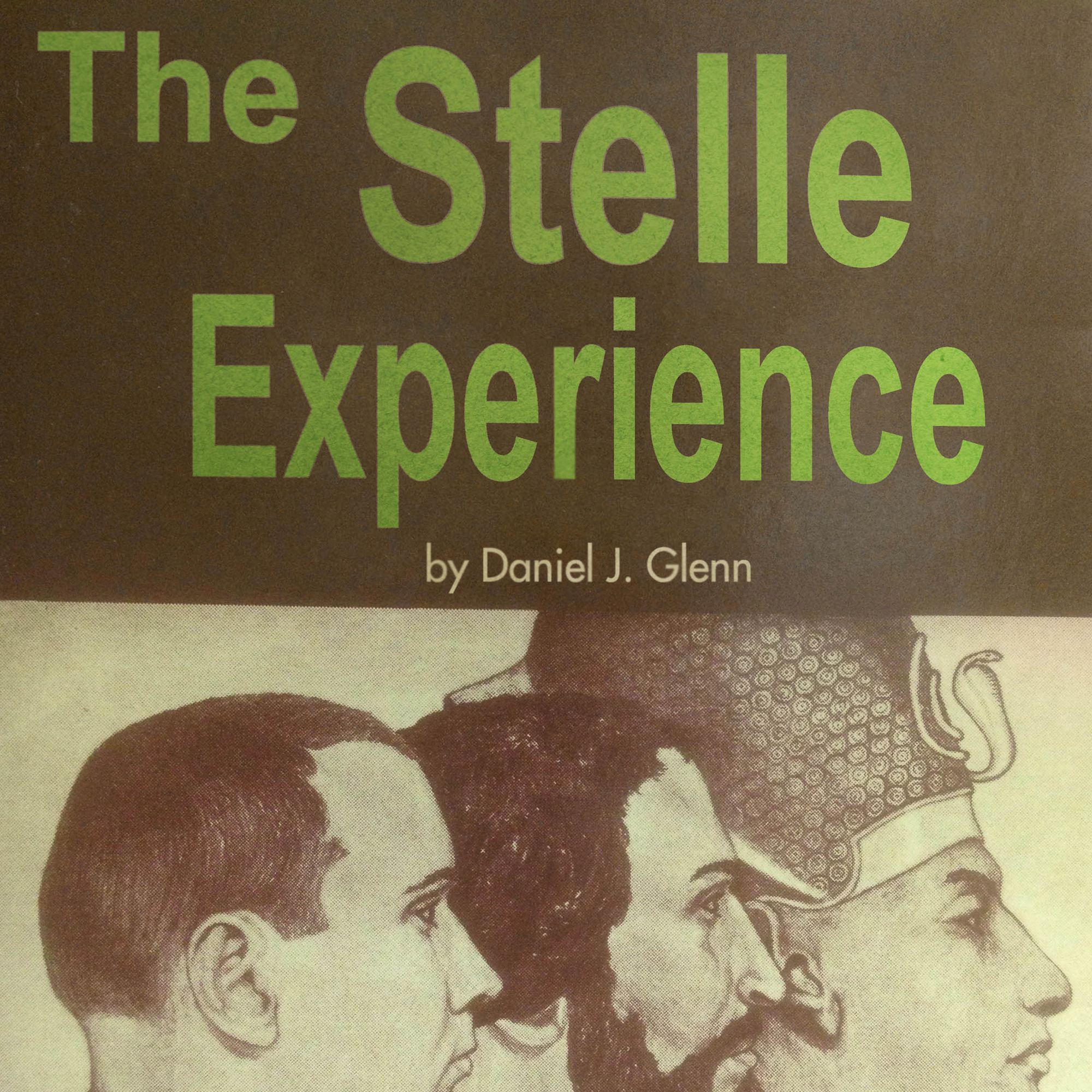 Read more about the article The Stelle Experience